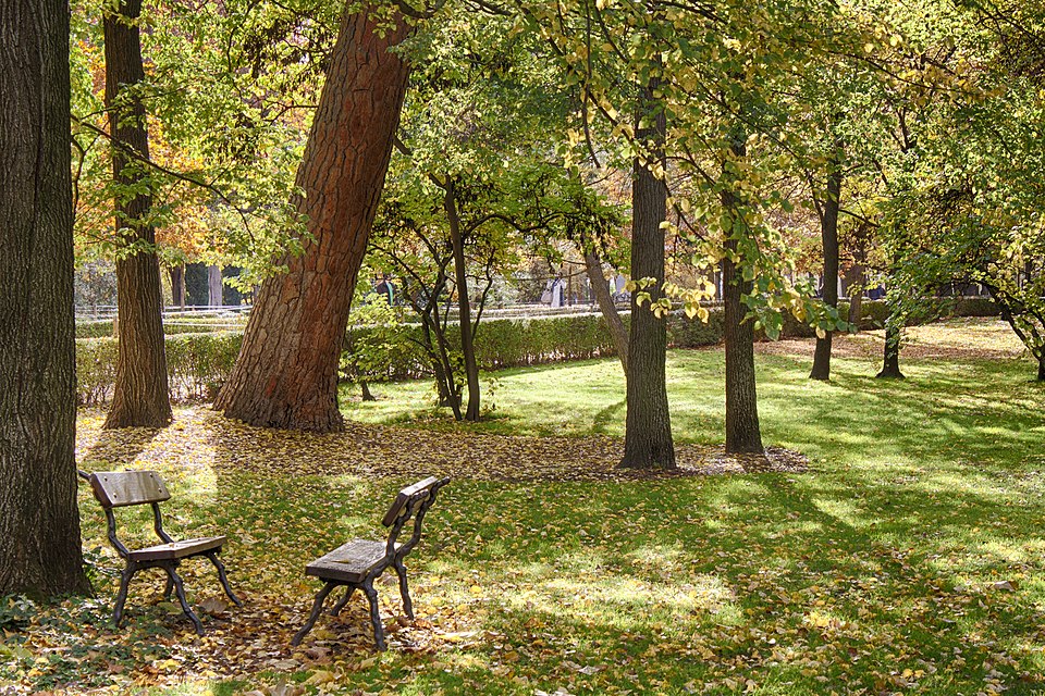 Reparación de tejados y goteras en Madrid - Vista de la localidad