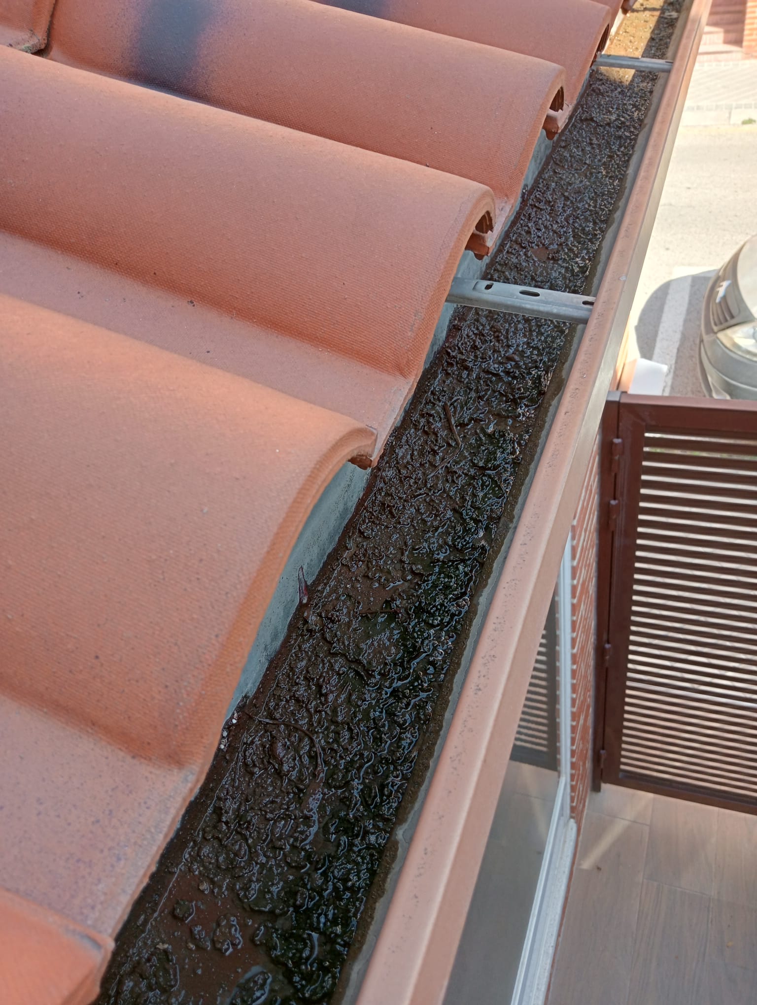 Limpieza de canalones 1